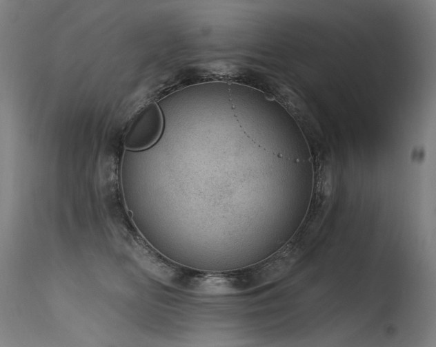 X0000115650518200911101543