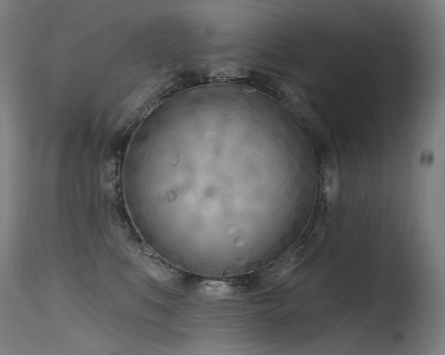 X0000115650519200911101543