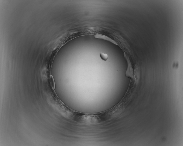 X0000115650520200911101542