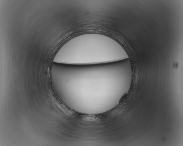 X0000115650521200911101542