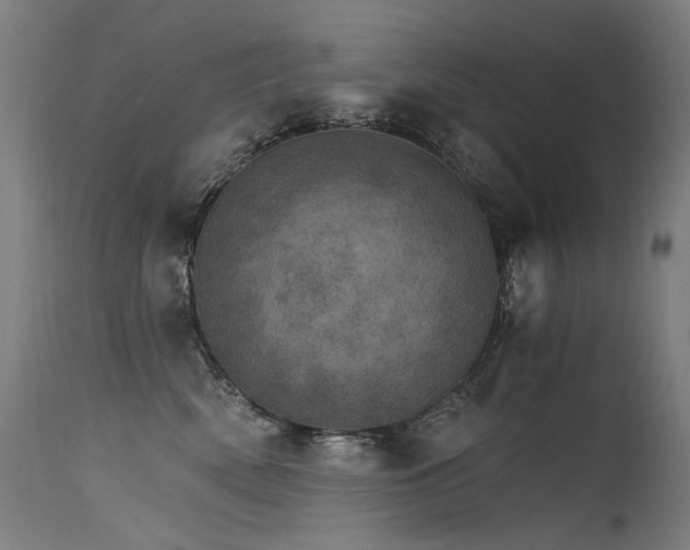 X0000115650522200911101542