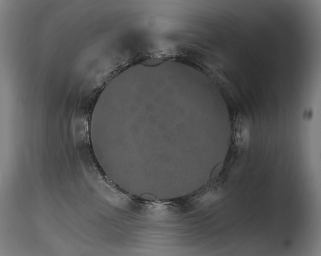 X0000115650523200911101542