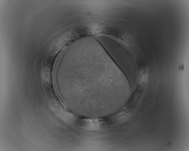 X0000115650524200911101542