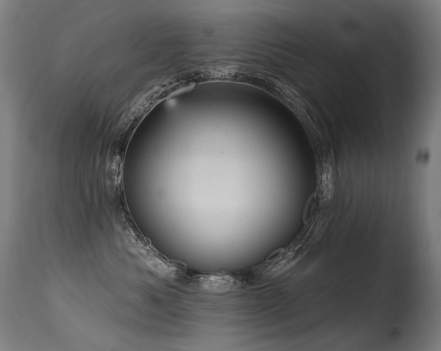 X0000115650525200911101542