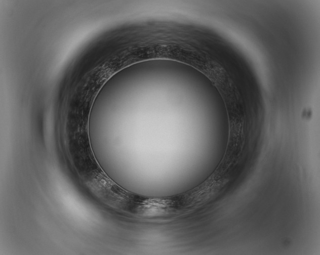 X0000115650526200911101542