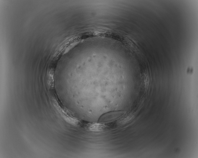X0000115650527200911101542