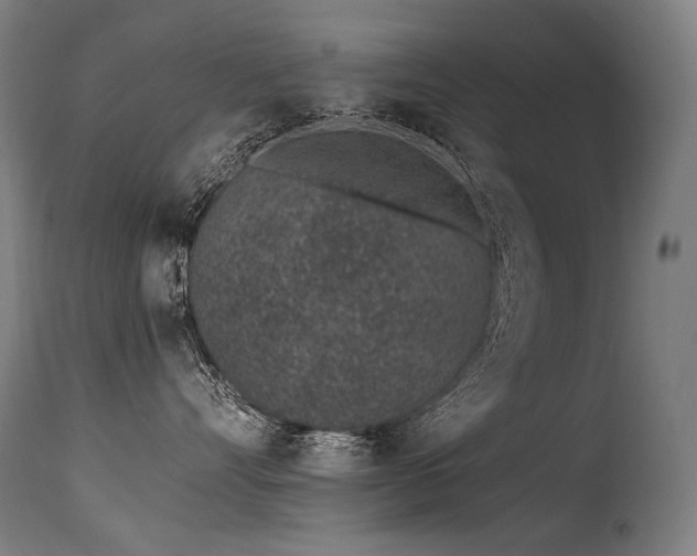 X0000115650528200911101542