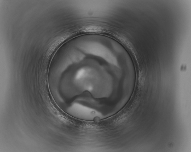 X0000115650529200911101542