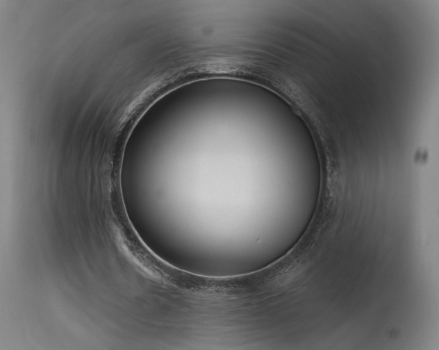 X0000115650530200911101542
