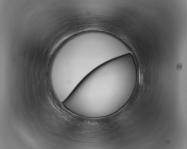 X0000115650531200911101542