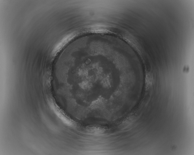 X0000115650533200911101542