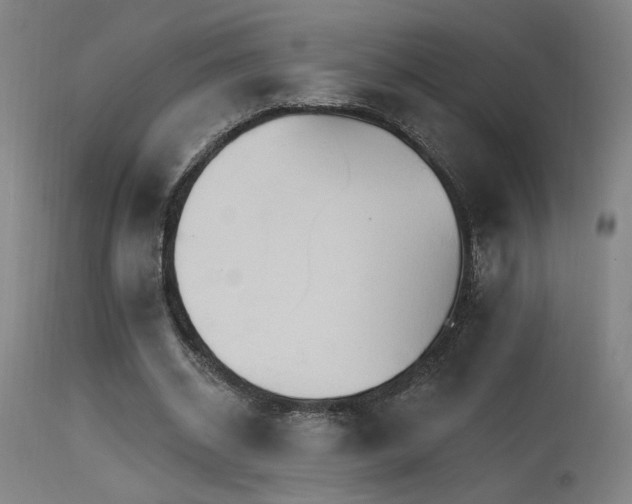 X0000115650534200911101542