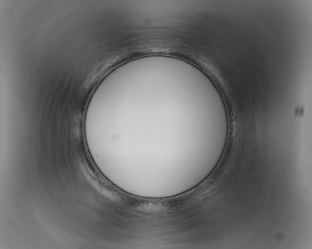 X0000115650537200911101542