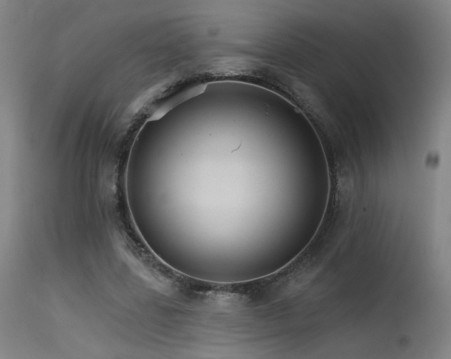 X0000115650539200911101542