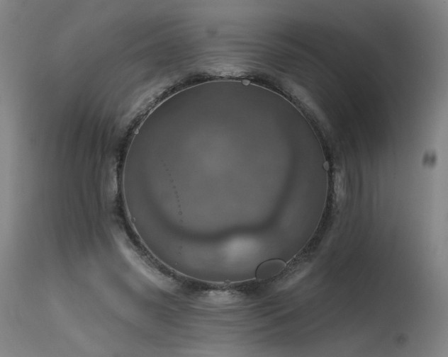 X0000115650541200911101542