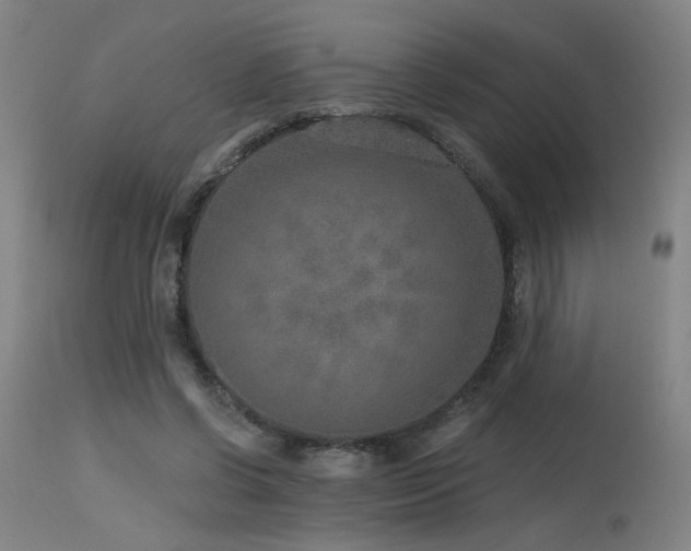 X0000115650542200911101542