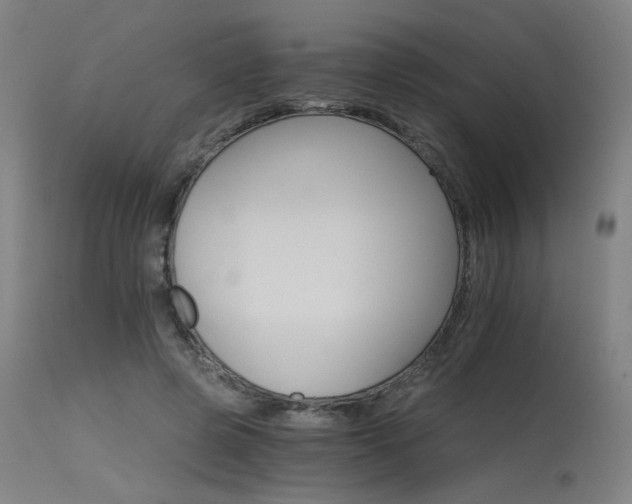 X0000115650545200911101542