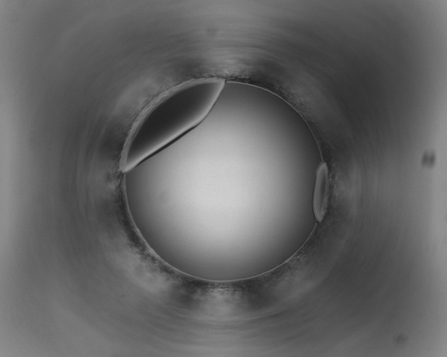 X0000115650546200911101542