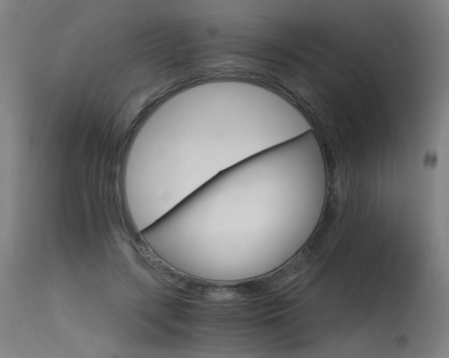 X0000115650547200911101542
