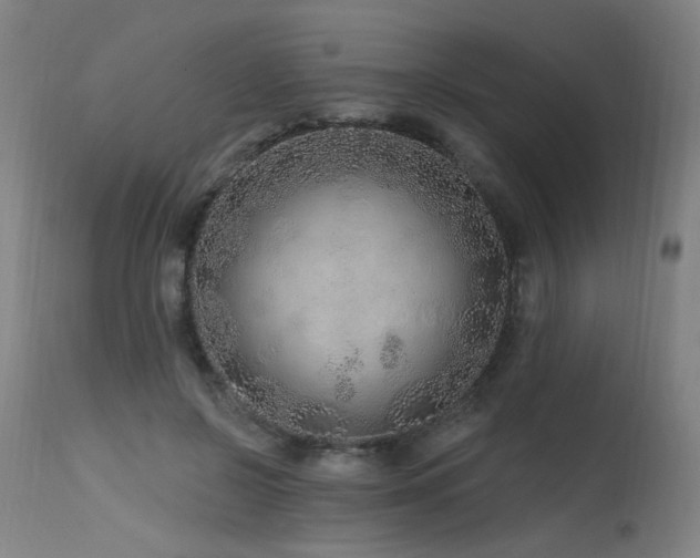 X0000115650550200911101542