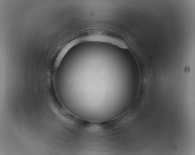 X0000115650551200911101542