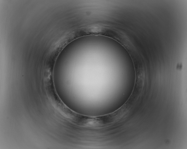 X0000115650555200911101542