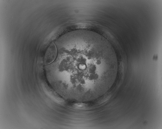 X0000115650557200911101542