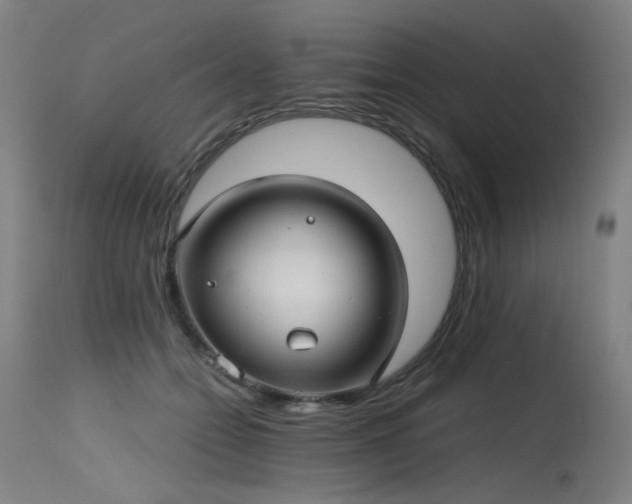 X0000115650558200911101542