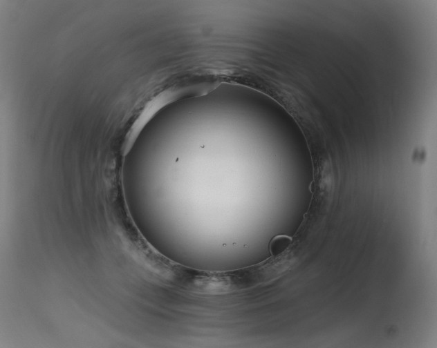 X0000115650559200911101542