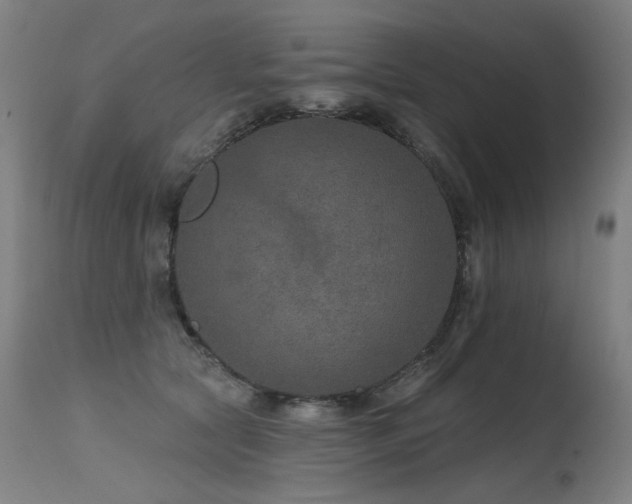 X0000115650561200911101542