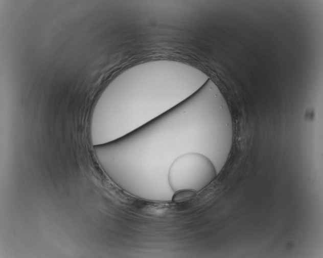 X0000115650563200911101542