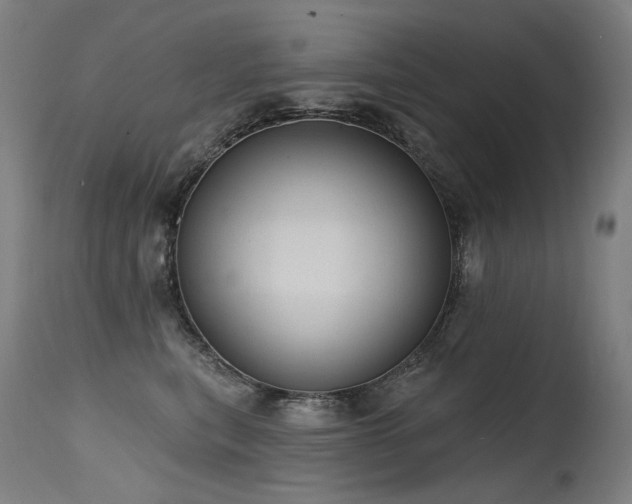 X0000115650567200911101542