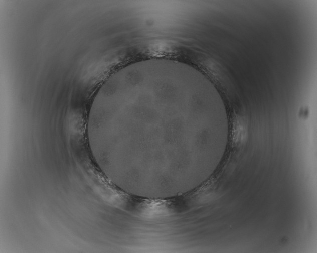 X0000115650569200911101542