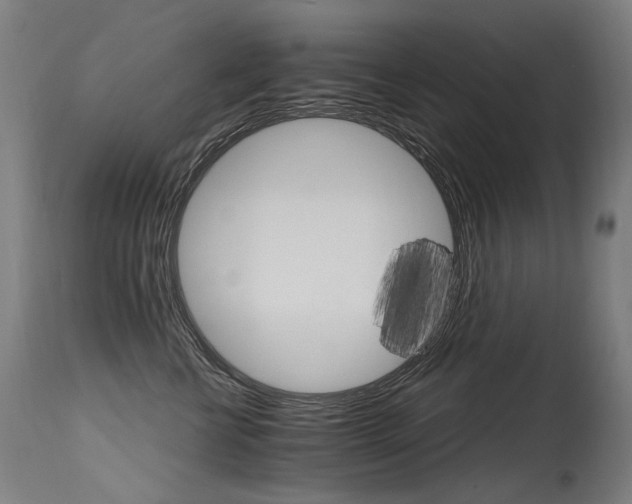 X0000115650570200911101542
