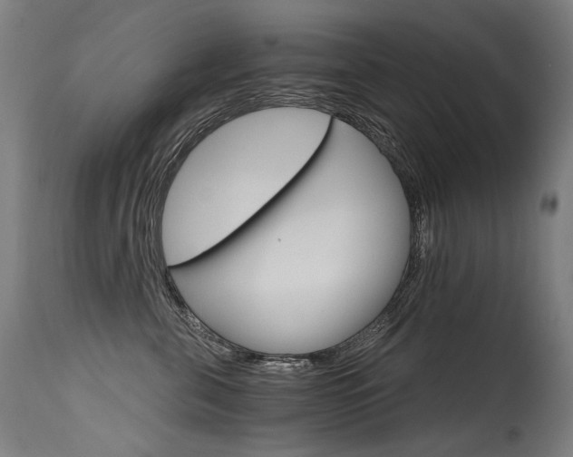 X0000115650571200911101542