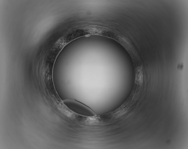 X0000115650573200911101542