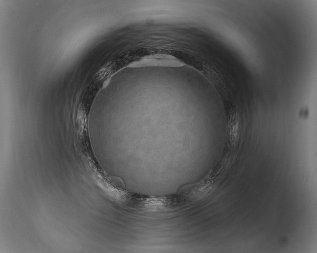X0000115650574200911101542