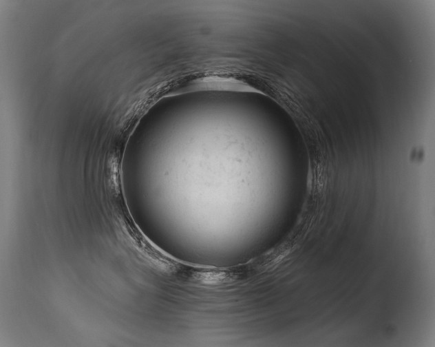 X0000115650575200911101542