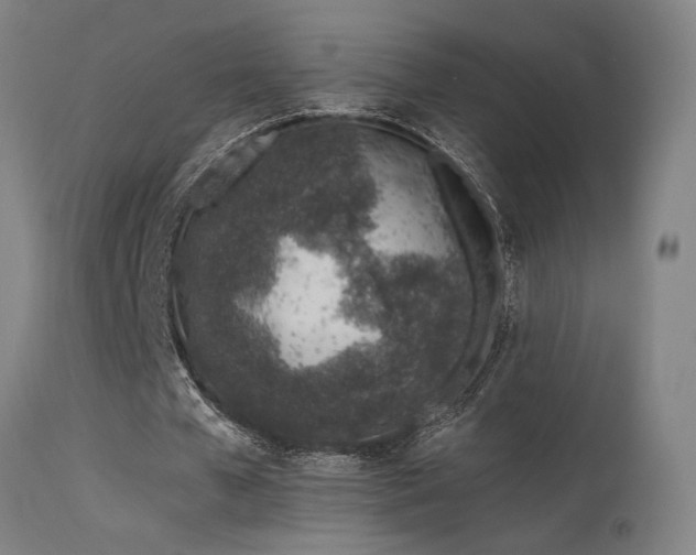 X0000115650577200911101542