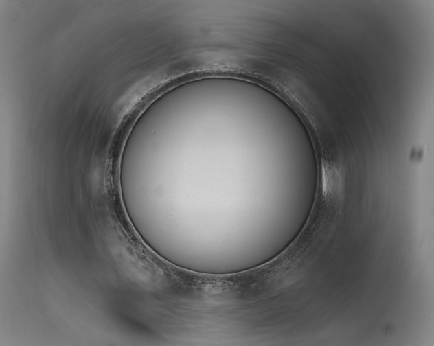X0000115650579200911101542