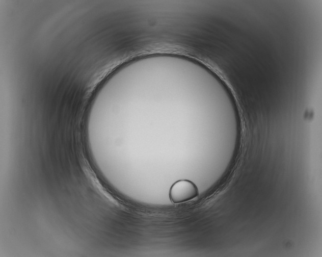 X0000115650581200911101541