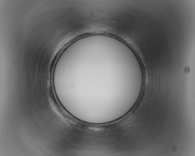 X0000115650582200911101541