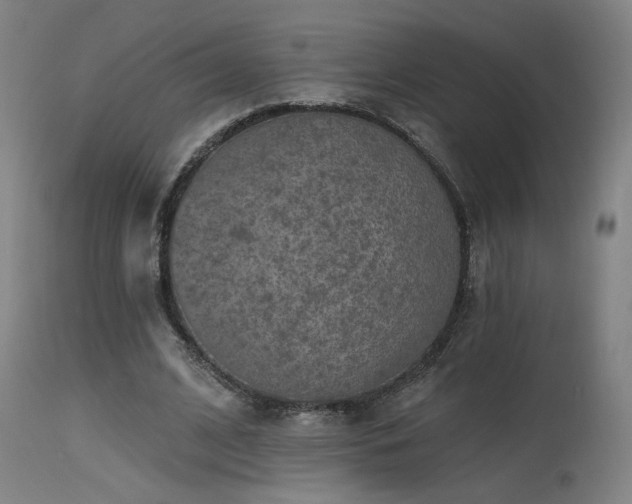 X0000115650584200911101541