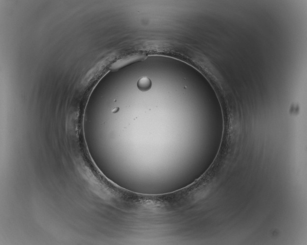 X0000115650585200911101541
