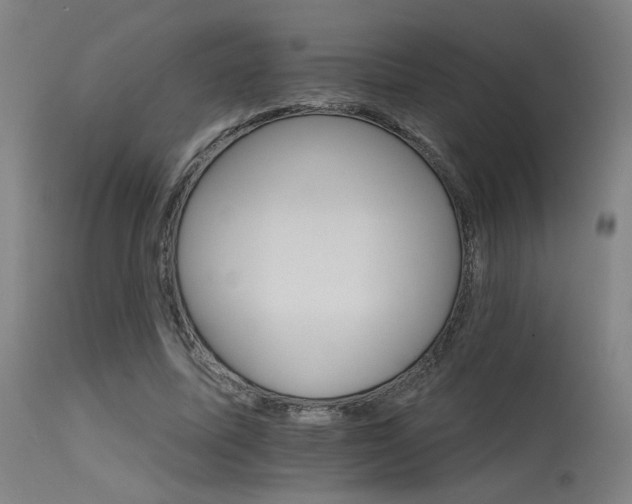 X0000115650587200911101541