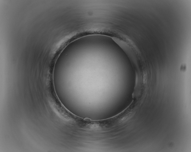 X0000115650588200911101541