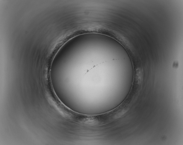 X0000115650589200911101541