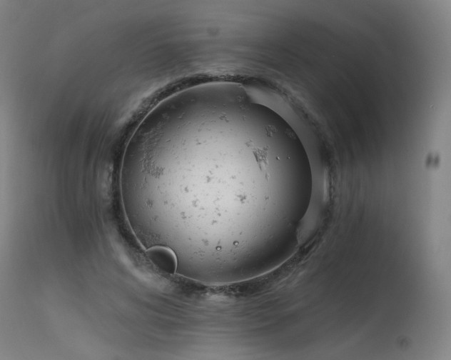 X0000115650592200911101541