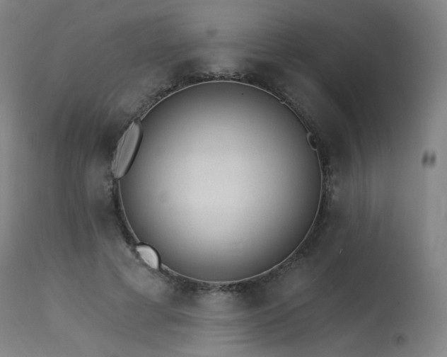 X0000115650593200911101541