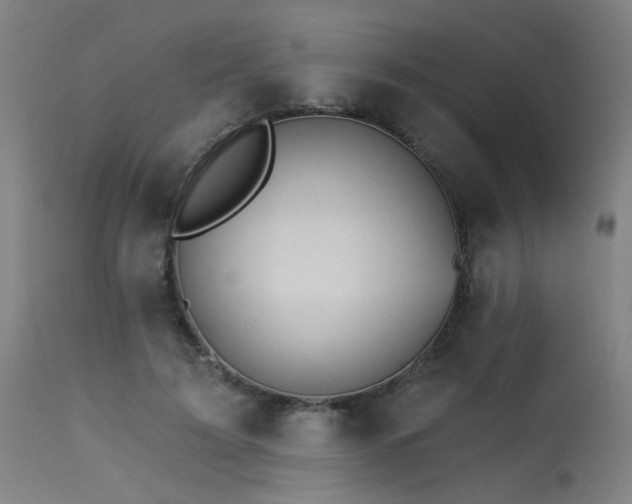 X0000115650595200911101541